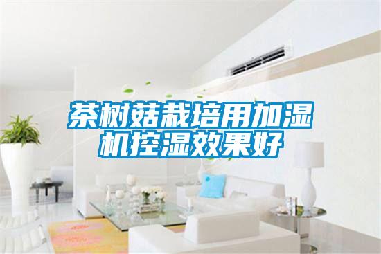 茶樹(shù)菇栽培用加濕機控濕效果好