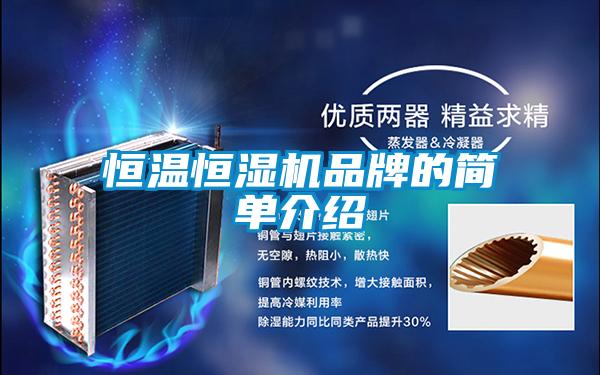 恒溫恒濕機品牌的簡(jiǎn)單介紹