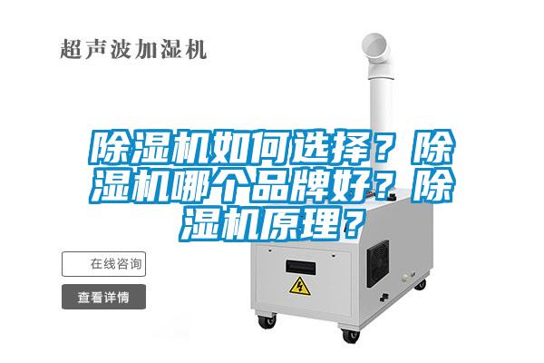 除濕機如何選擇?除濕機哪個(gè)品牌好?除濕機原理?