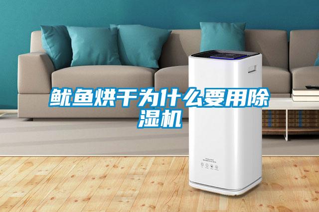 魷魚(yú)烘干為什么要用除濕機