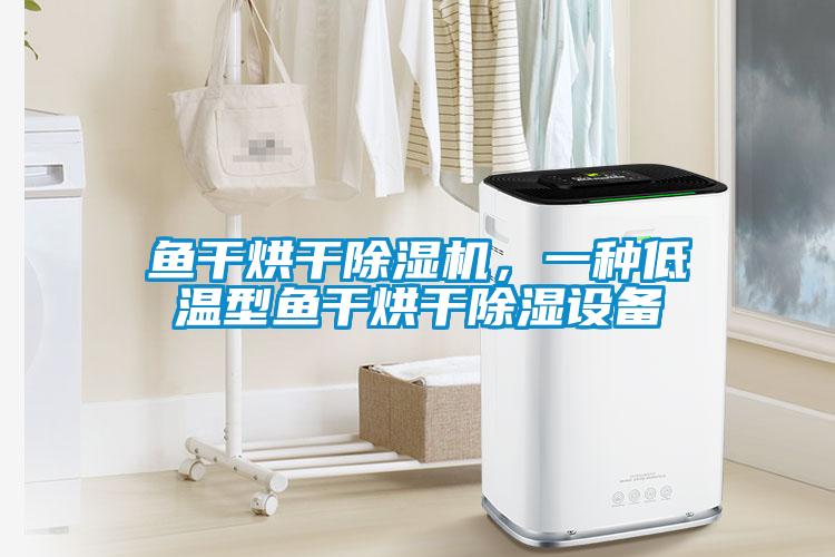 魚(yú)干烘干除濕機，一種低溫型魚(yú)干烘干除濕設備
