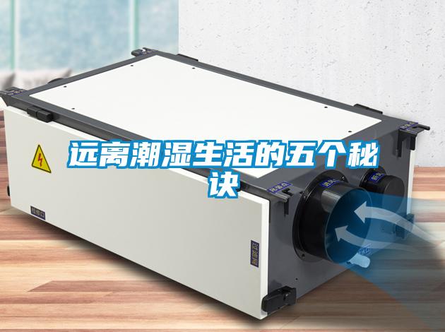 遠離潮濕生活的五個(gè)秘訣