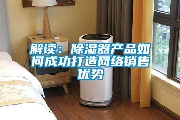 解讀：除濕器產(chǎn)品如何成功打造網(wǎng)絡(luò )銷(xiāo)售優(yōu)勢
