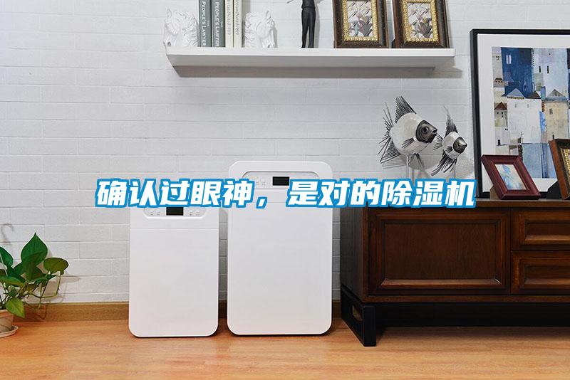 確認過(guò)眼神，是對的除濕機