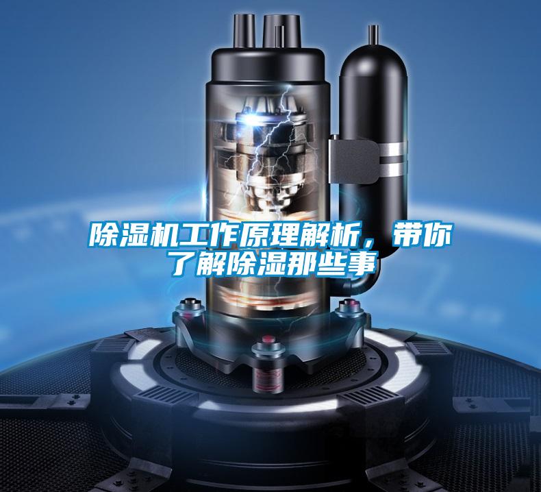 除濕機工作原理解析，帶你了解除濕那些事