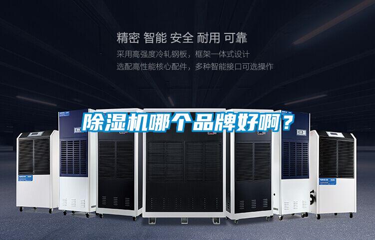 除濕機哪個(gè)品牌好???