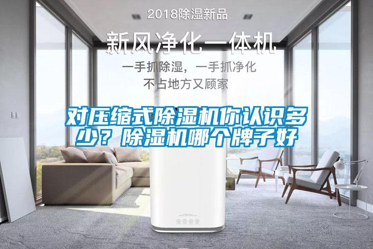 對壓縮式除濕機你認識多少？除濕機哪個(gè)牌子好