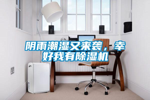陰雨潮濕又來(lái)襲，幸好我有除濕機