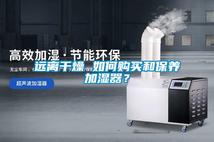遠離干燥 如何購買(mǎi)和保養加濕器？