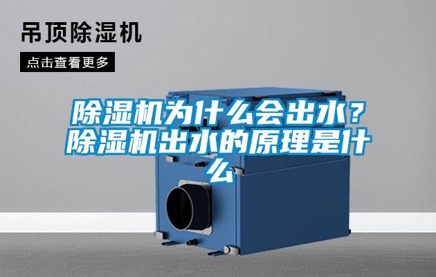 除濕機為什么會(huì )出水？除濕機出水的原理是什么