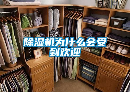 除濕機為什么會(huì )受到歡迎