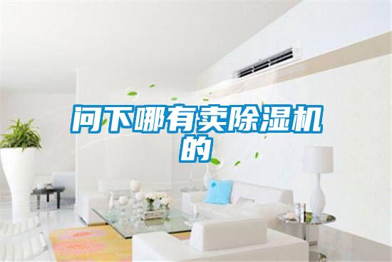 問(wèn)下哪有賣(mài)除濕機的