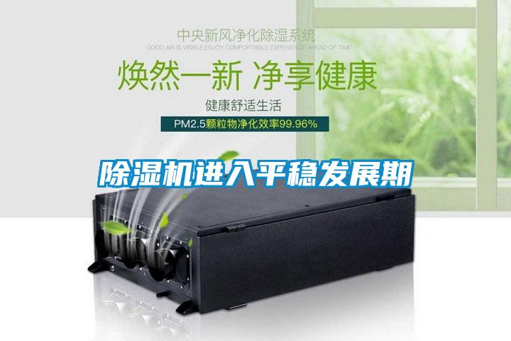 除濕機進(jìn)入平穩發(fā)展期