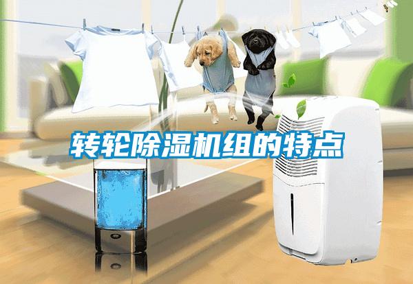 轉輪除濕機組的特點(diǎn)