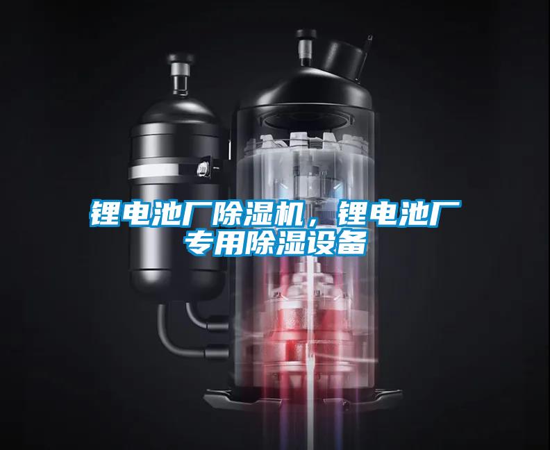 鋰電池廠(chǎng)除濕機，鋰電池廠(chǎng)專(zhuān)用除濕設備