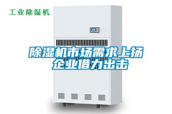 除濕機市場(chǎng)需求上揚 企業(yè)借力出擊