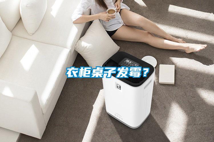 衣柜桌子發(fā)霉？