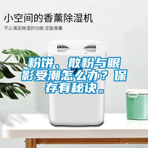 粉餅、散粉與眼影受潮怎么辦？保存有秘訣。
