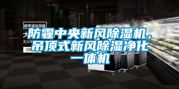 防霾中央新風(fēng)除濕機，吊頂式新風(fēng)除濕凈化一體機