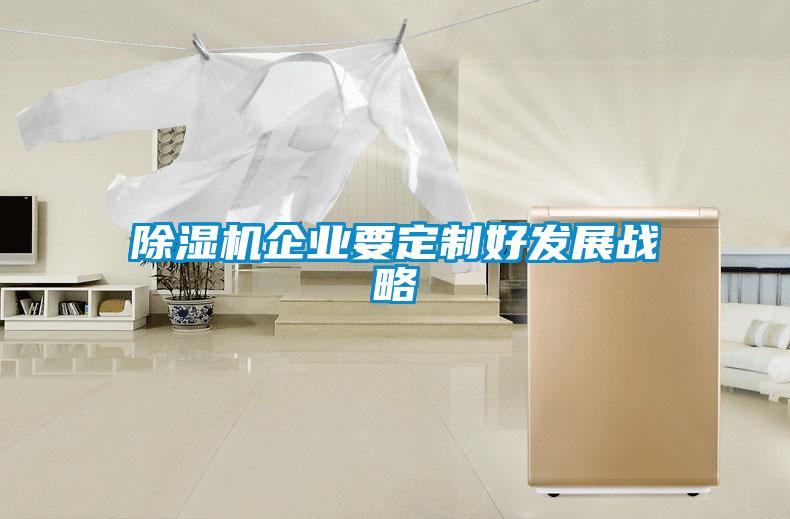 除濕機企業(yè)要定制好發(fā)展戰略
