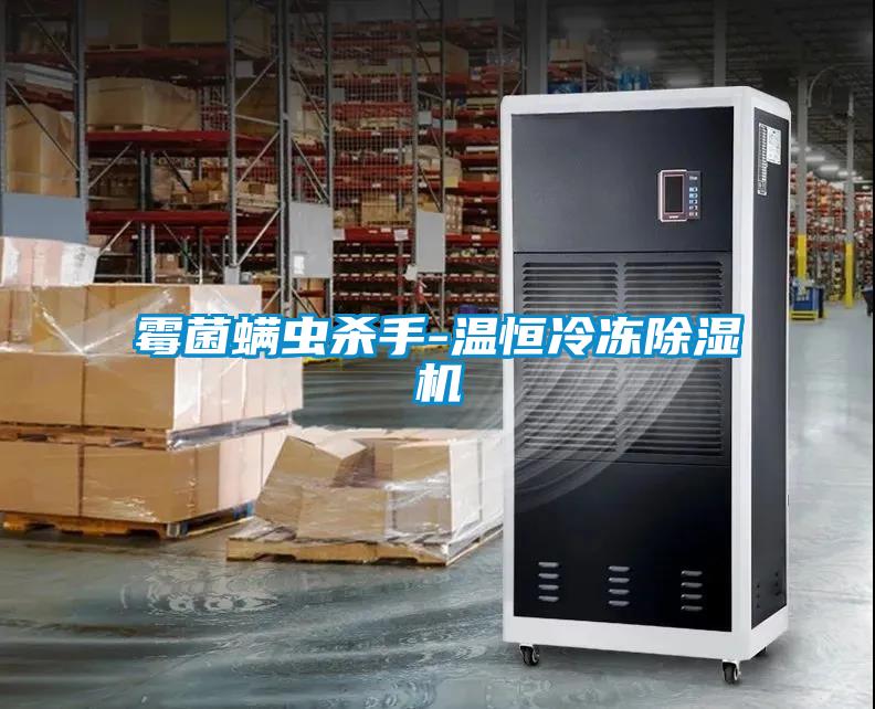 霉菌螨蟲(chóng)殺手-溫恒冷凍除濕機