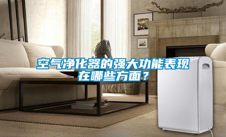 空氣凈化器的強大功能表現在哪些方面？