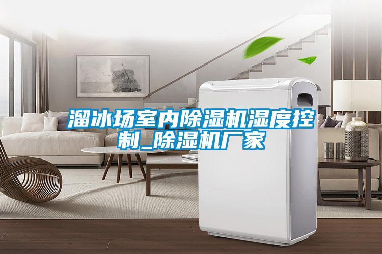 溜冰場(chǎng)室內除濕機濕度控制_除濕機廠(chǎng)家