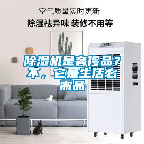 除濕機是奢侈品？不，它是生活必需品