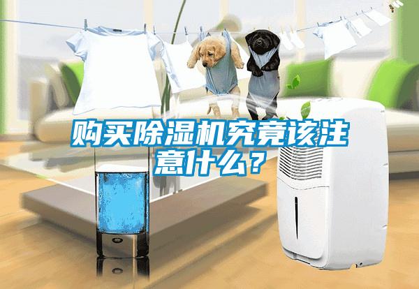 購買(mǎi)除濕機究竟該注意什么？