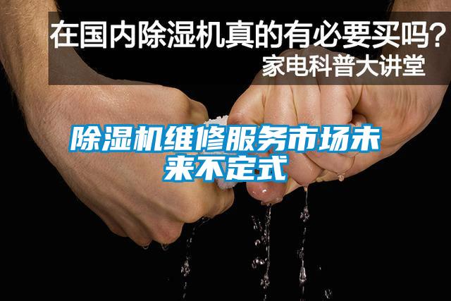 除濕機維修服務(wù)市場(chǎng)未來(lái)不定式
