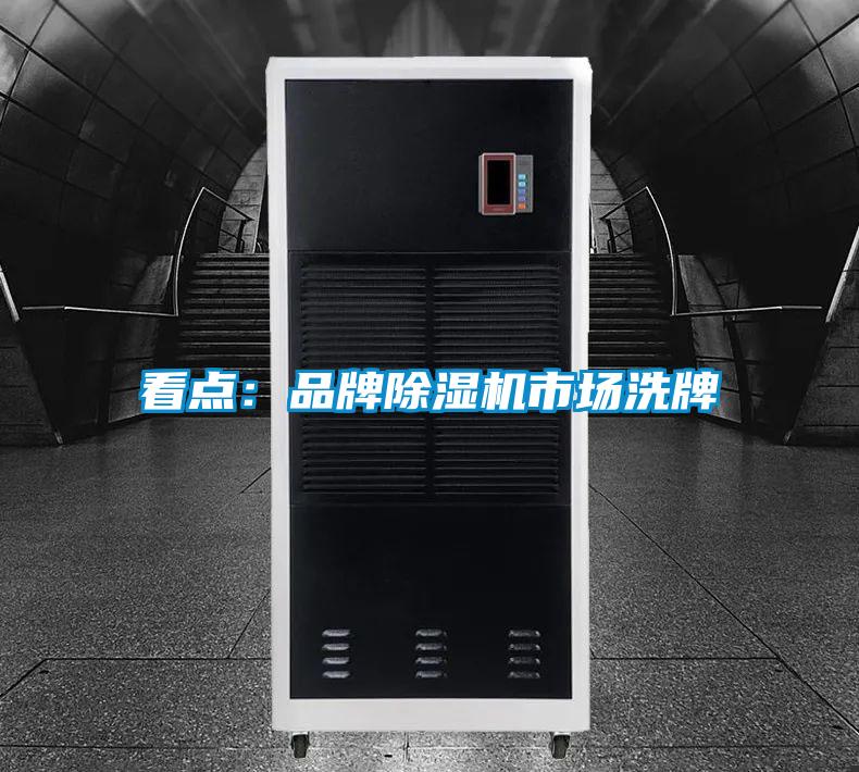 看點(diǎn)：品牌除濕機市場(chǎng)洗牌