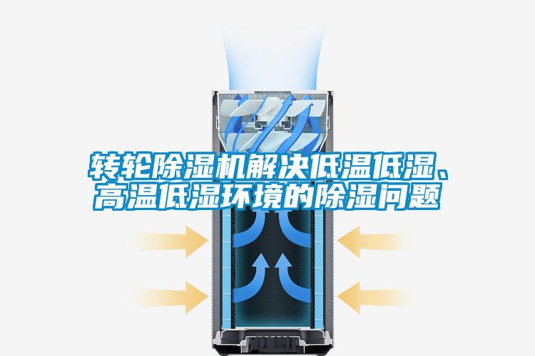 轉輪除濕機解決低溫低濕、高溫低濕環(huán)境的除濕問(wèn)題