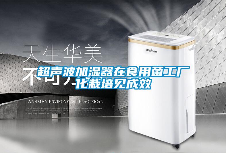 超聲波加濕器在食用菌工廠(chǎng)化栽培見(jiàn)成效