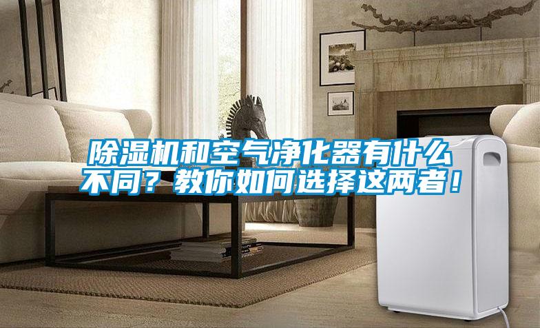 除濕機和空氣凈化器有什么不同？教你如何選擇這兩者！