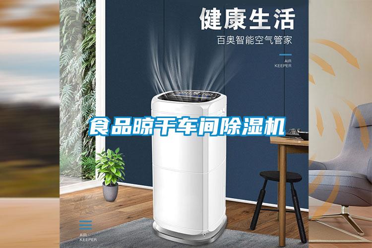 食品晾干車(chē)間除濕機