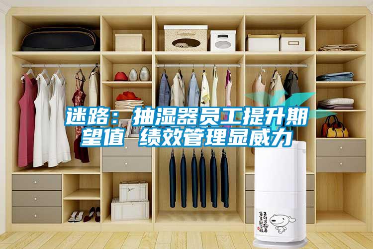迷路：抽濕器員工提升期望值 績(jì)效管理顯威力