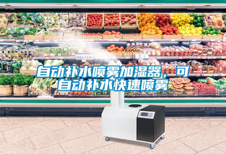 自動(dòng)補水噴霧加濕器，可自動(dòng)補水快速?lài)婌F