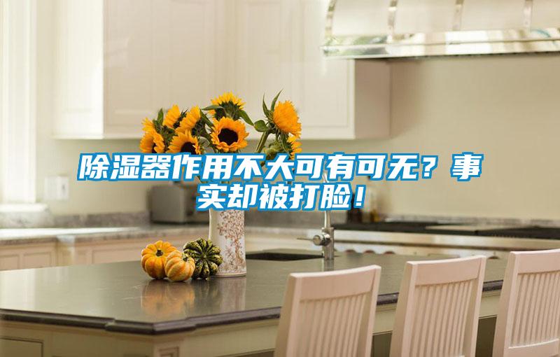除濕器作用不大可有可無(wú)？事實(shí)卻被打臉！