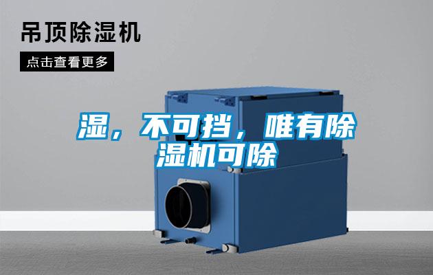 濕，不可擋，唯有除濕機可除