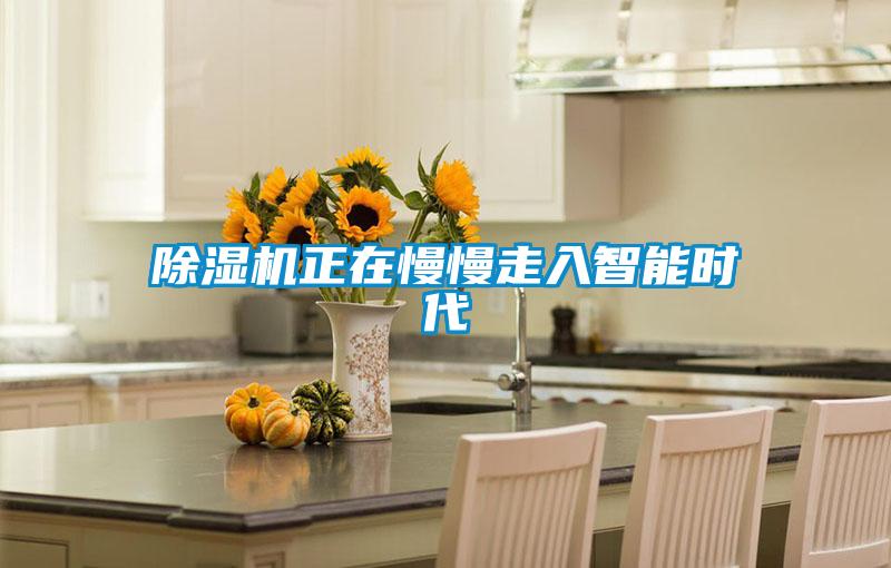 除濕機正在慢慢走入智能時(shí)代