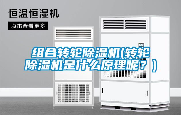 組合轉輪除濕機(轉輪除濕機是什么原理呢？)