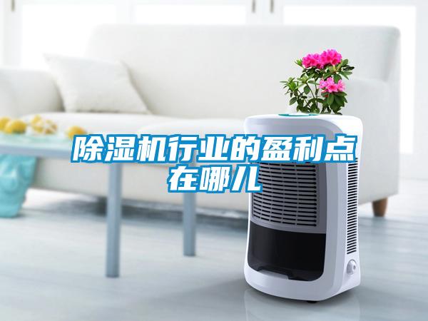 除濕機行業(yè)的盈利點(diǎn)在哪兒