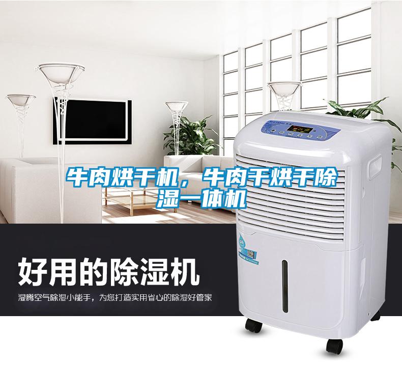 牛肉烘干機，牛肉干烘干除濕一體機