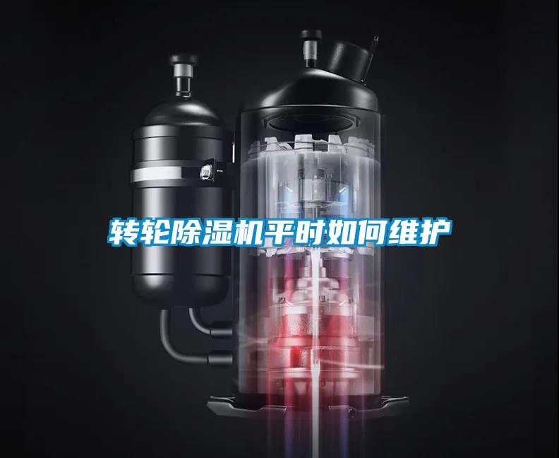 轉輪除濕機平時(shí)如何維護