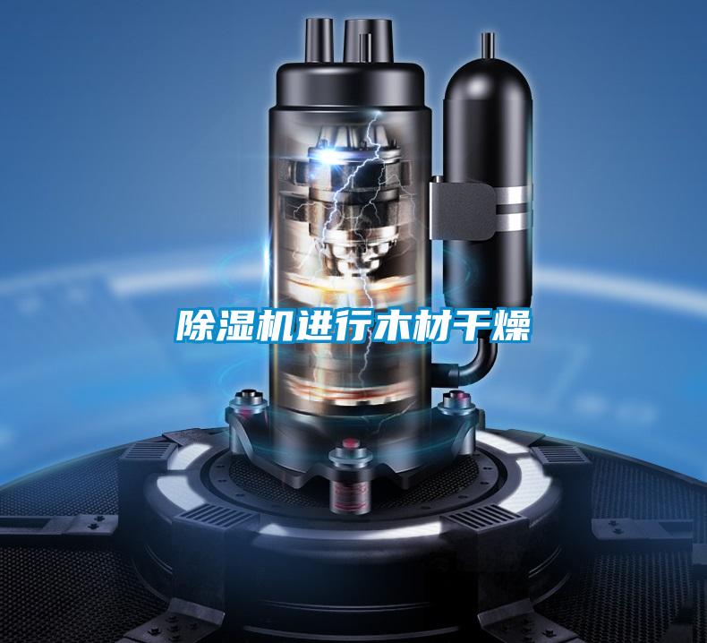 除濕機進(jìn)行木材干燥