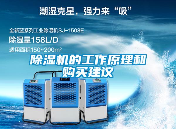除濕機的工作原理和購買(mǎi)建議