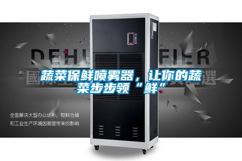 蔬菜保鮮噴霧器，讓你的蔬菜步步領(lǐng)“鮮”
