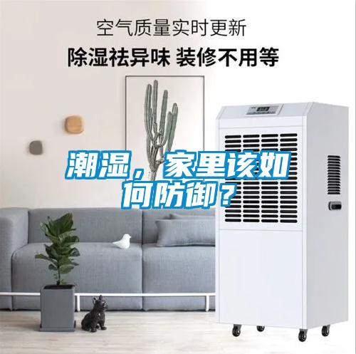 潮濕，家里該如何防御？