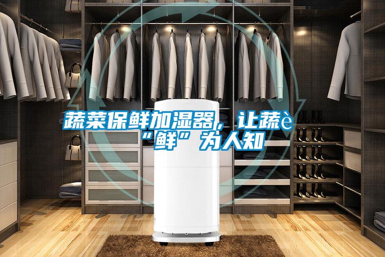 蔬菜保鮮加濕器，讓蔬菜“鮮”為人知