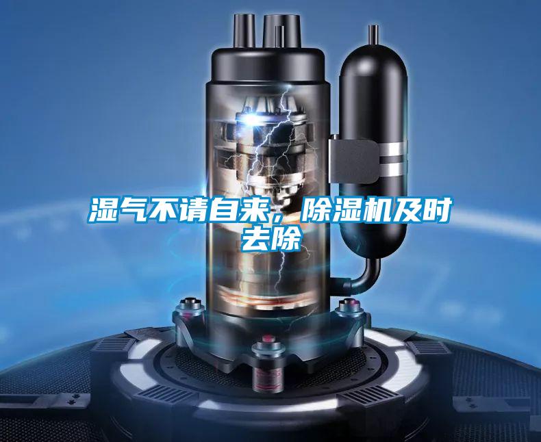 濕氣不請自來(lái)，除濕機及時(shí)去除